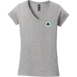 North Park Hockey Softstyle Ladies Fit V-Neck T-Shirt