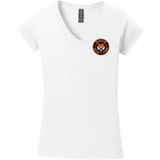 Princeton Jr. Tigers Softstyle Ladies Fit V-Neck T-Shirt