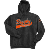 Biggby Coffee AAA Super Heavyweight Fleece Hoodie